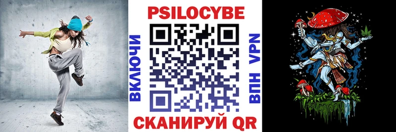 Псилоцибиновые грибы Cubensis  Купить  Торопец 